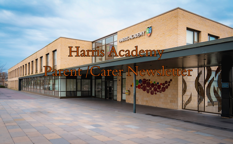 Copy of Harris Academy Parent Carer Newsletter - school colour.png