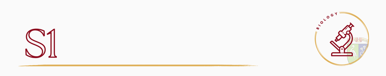 Biology S1.png