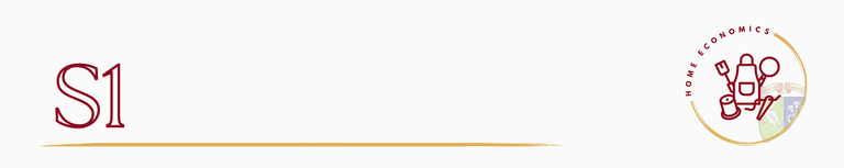 Home Ec S1.png