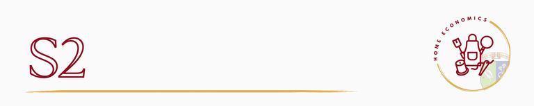 Home Ec S2.png