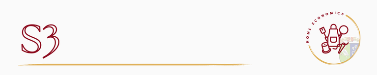 Home Ec S3.png